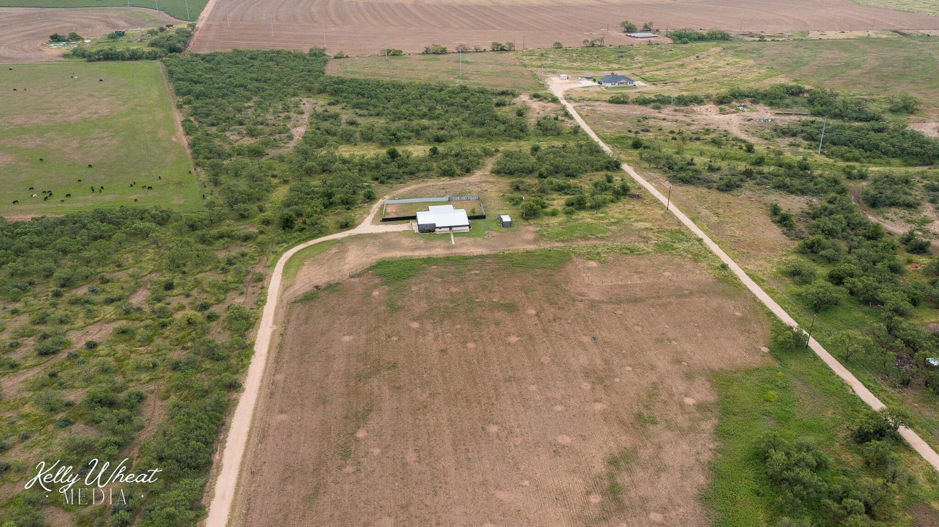 20 acres in Tom Green County gallery image 2