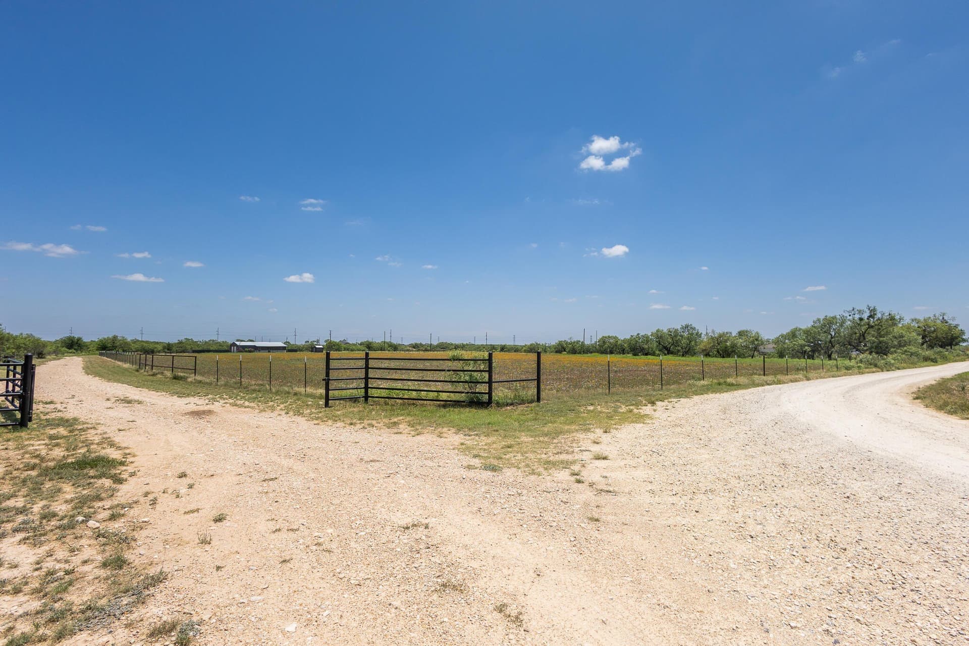 20 acres in Tom Green County gallery image 3