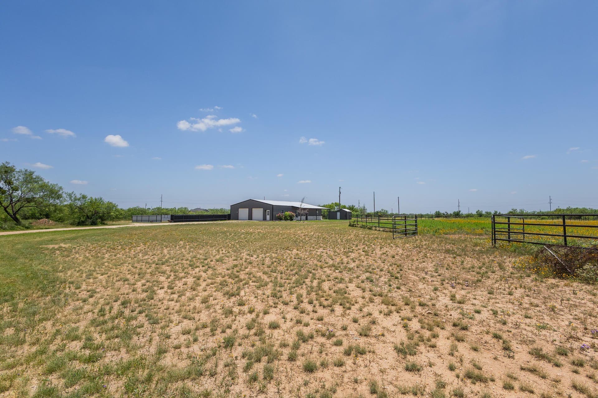 20 acres in Tom Green County gallery image 4