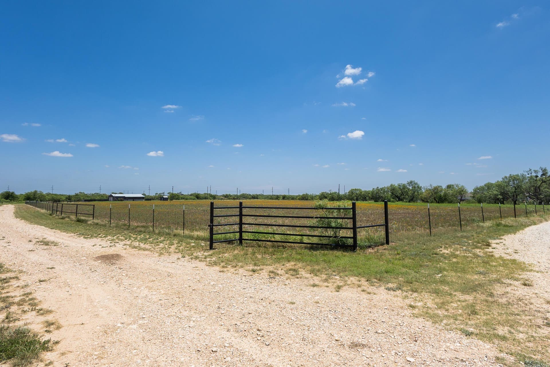 20 acres in Tom Green County gallery image 2