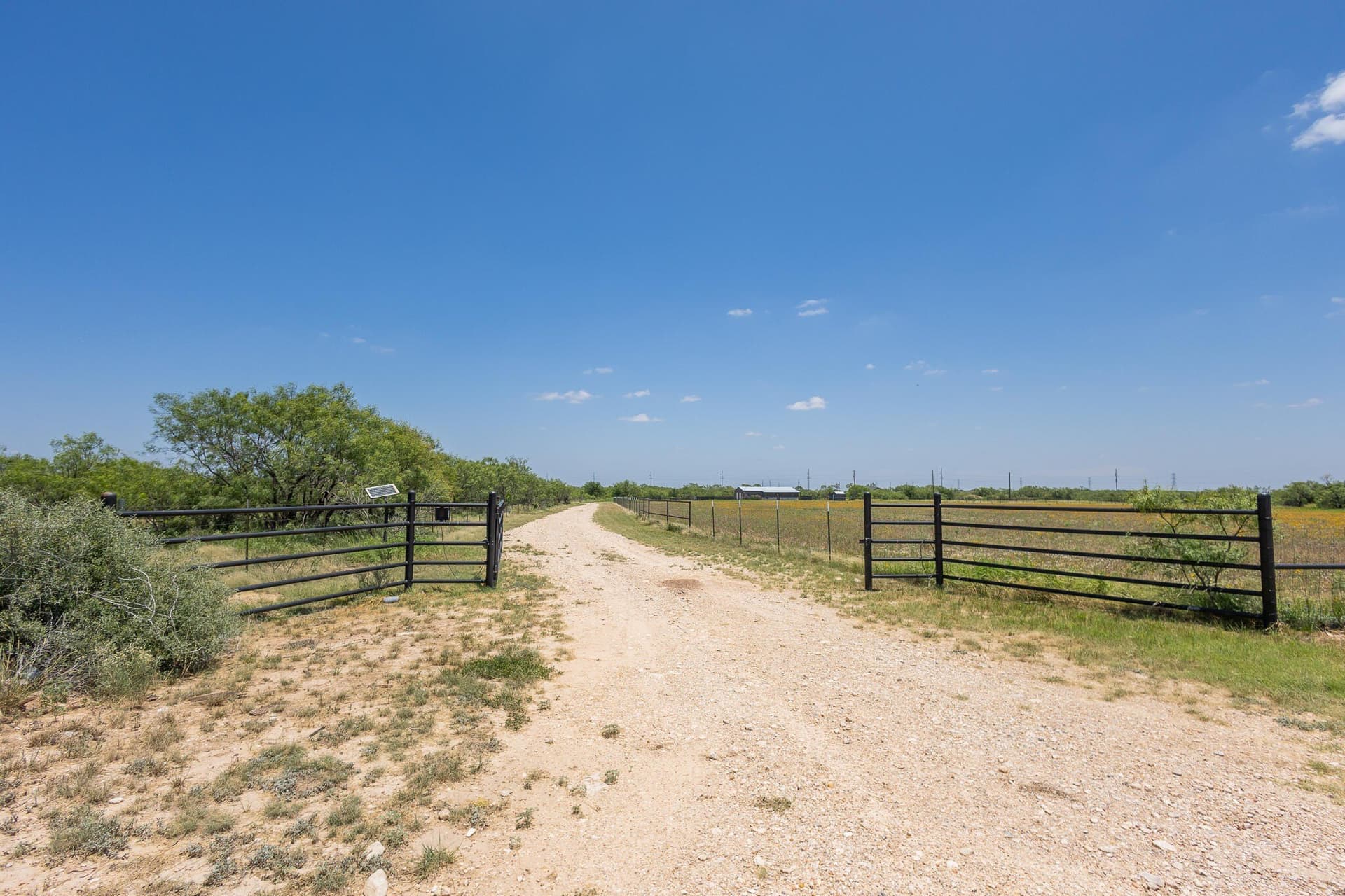 20 acres in Tom Green County gallery image 4