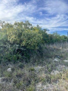 4.37 acres in Aransas County featured view