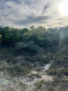 4.37 acres in Aransas County gallery image 3