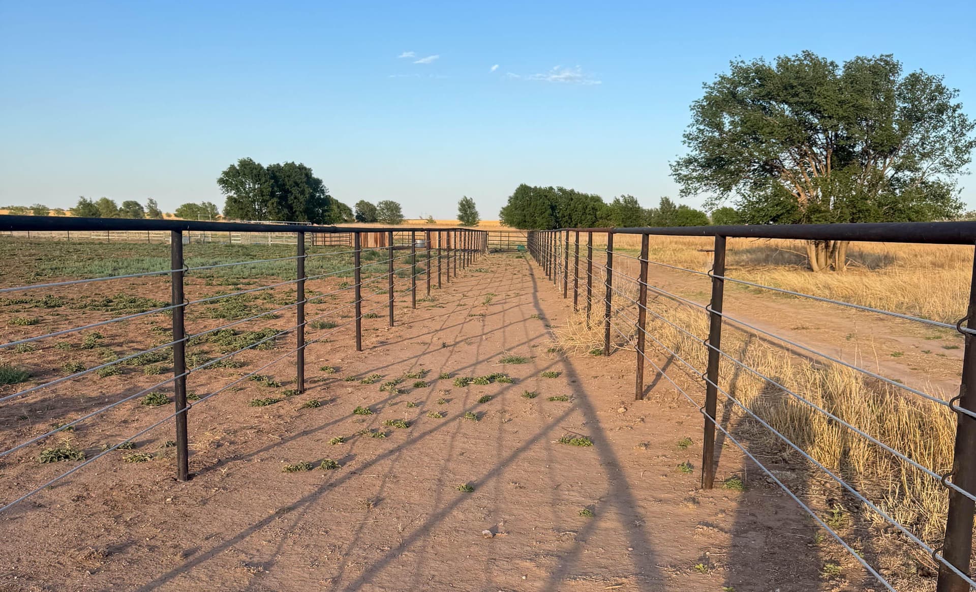 10.01 acres in Lubbock County - photo 19