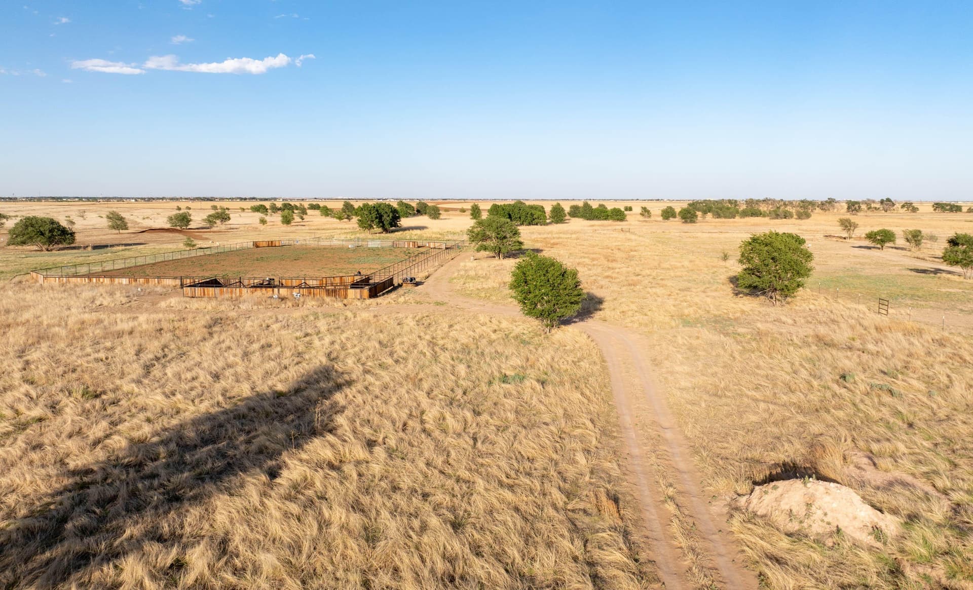 10.01 acres in Lubbock County gallery image 4