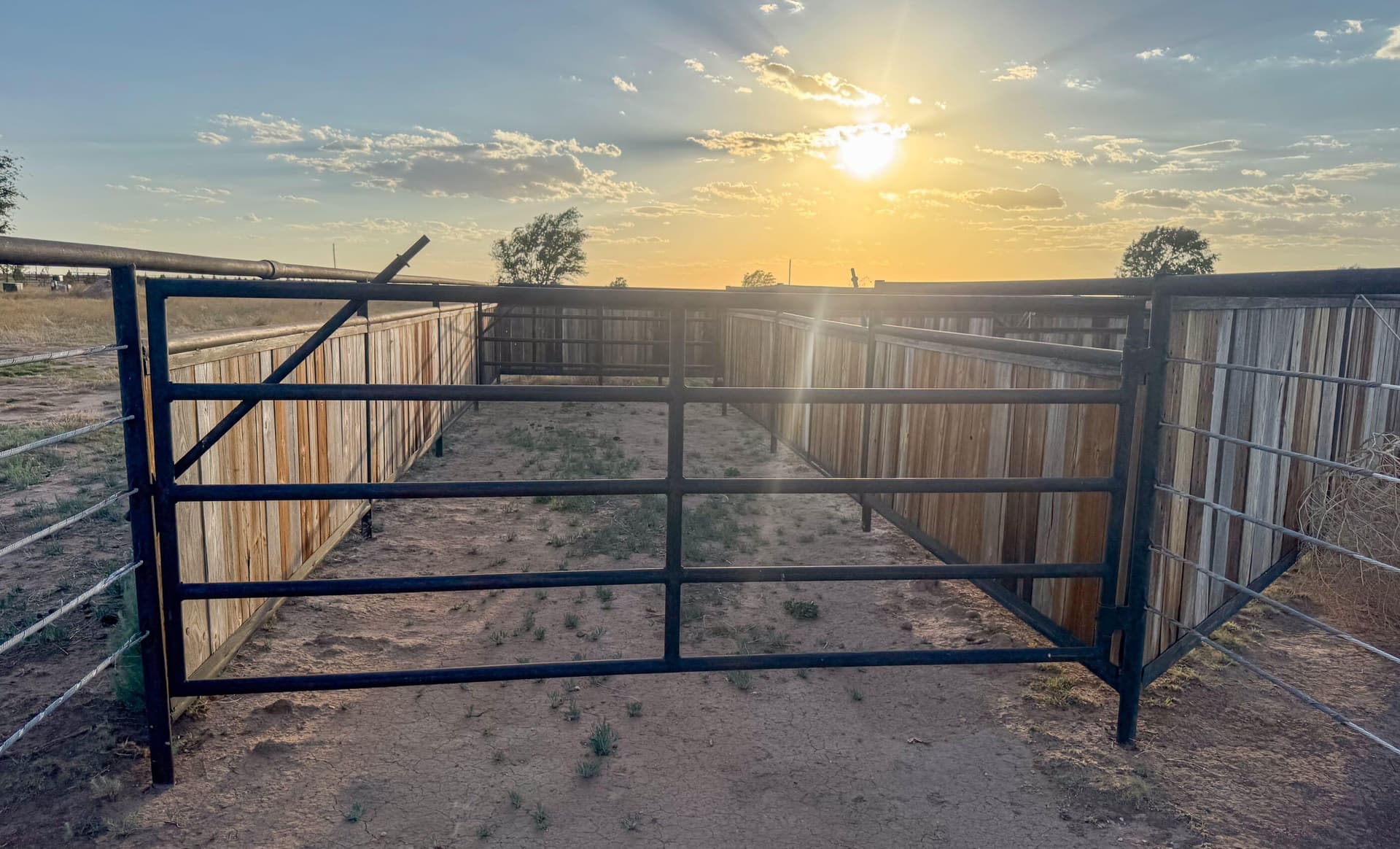 10.01 acres in Lubbock County - photo 20