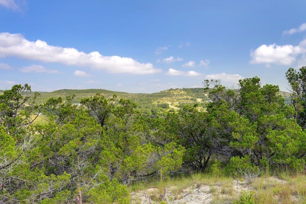 21 acres in Blanco County - photo 21