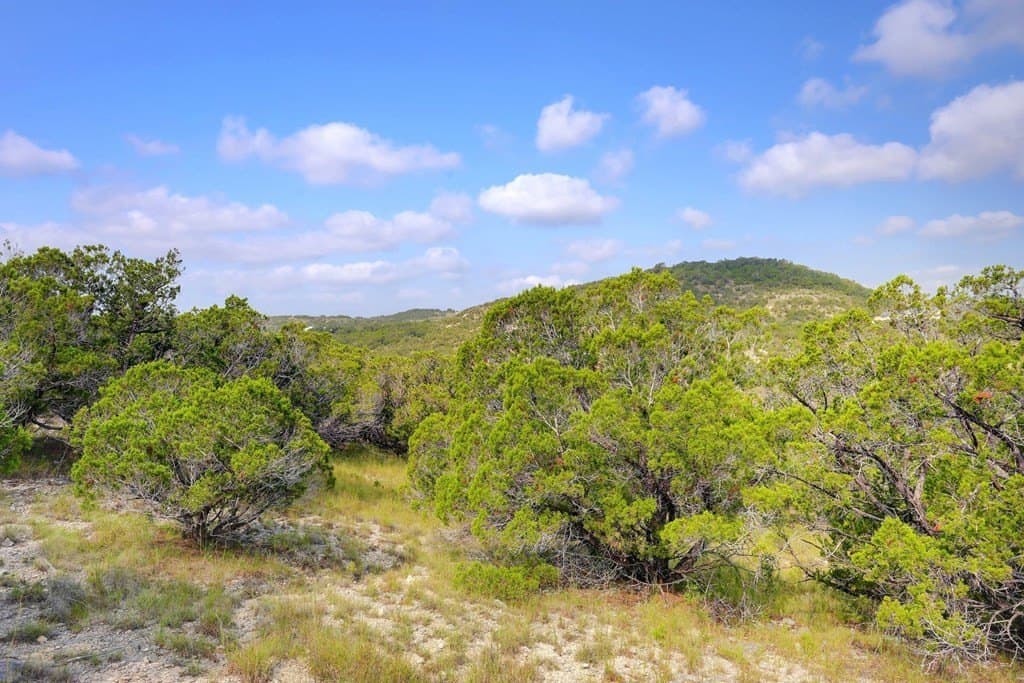 21 acres in Blanco County - photo 22