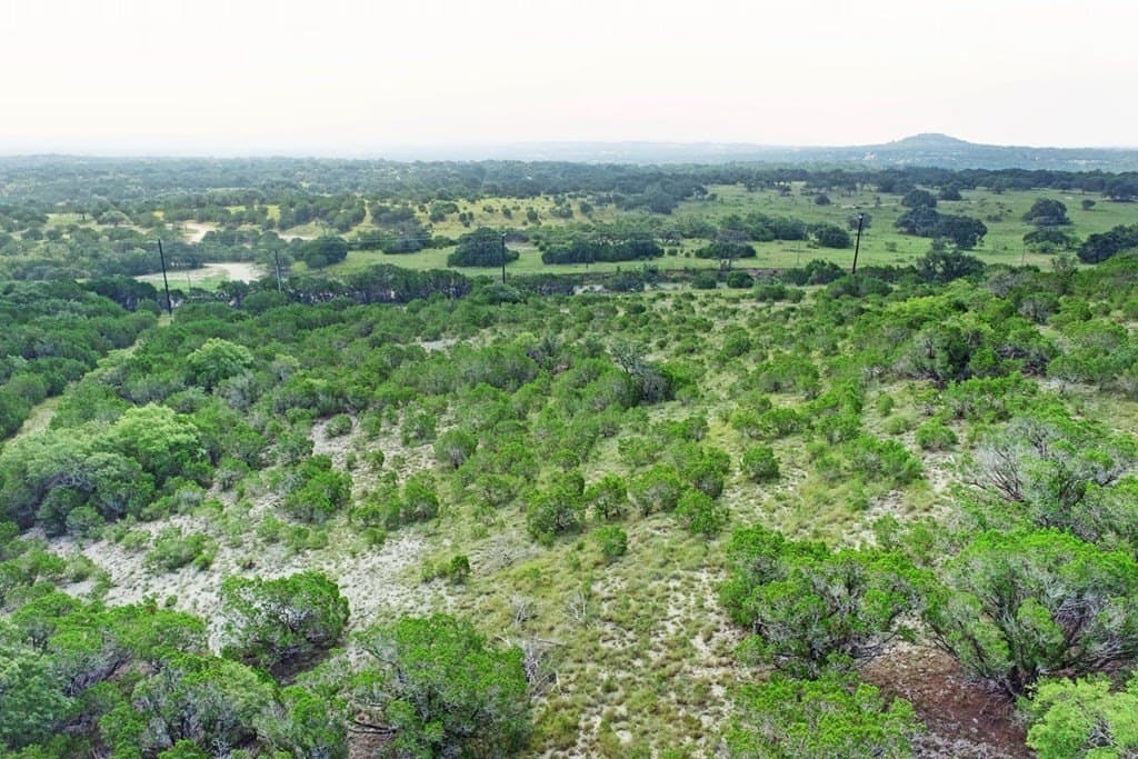 21 acres in Blanco County - photo 10