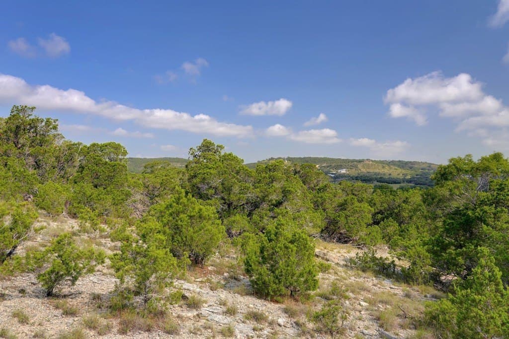 21 acres in Blanco County - photo 12