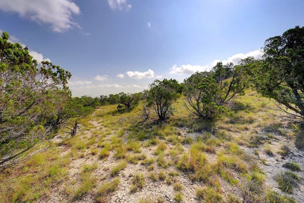21 acres in Blanco County - photo 32