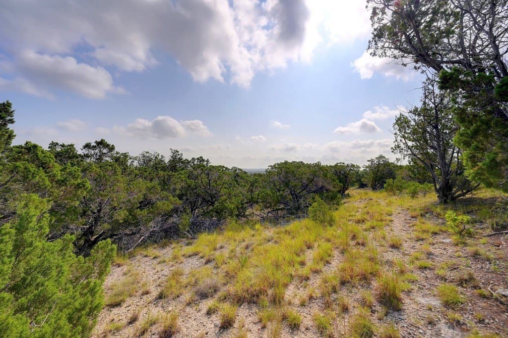 21 acres in Blanco County - photo 18