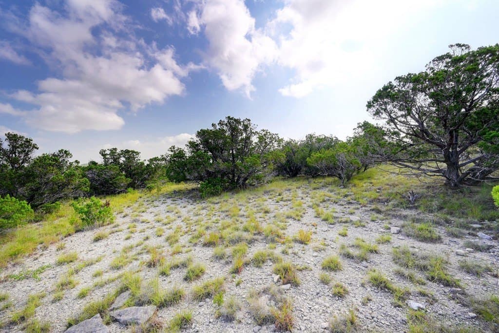 21 acres in Blanco County - photo 20