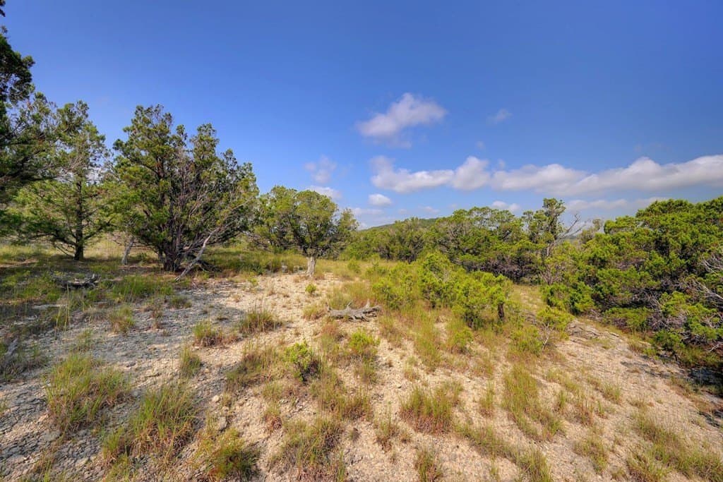 21 acres in Blanco County - photo 17