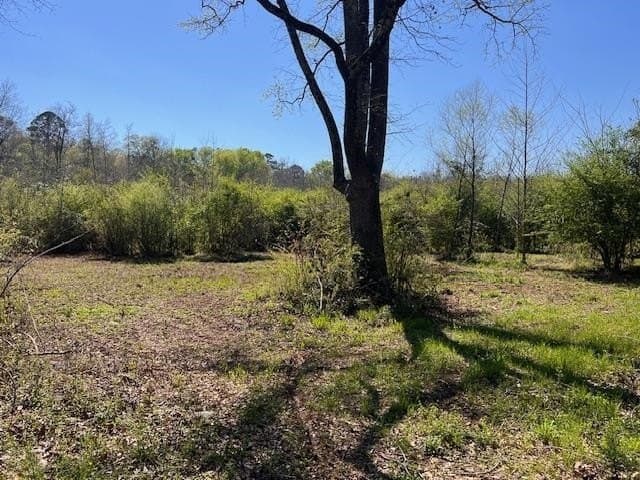 9 acres in Cass County - photo 2