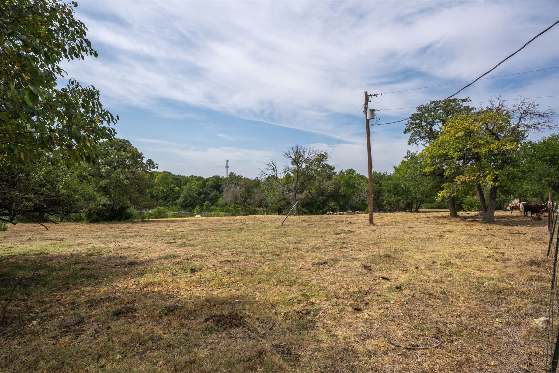 29.7 acres in Parker County - photo 11