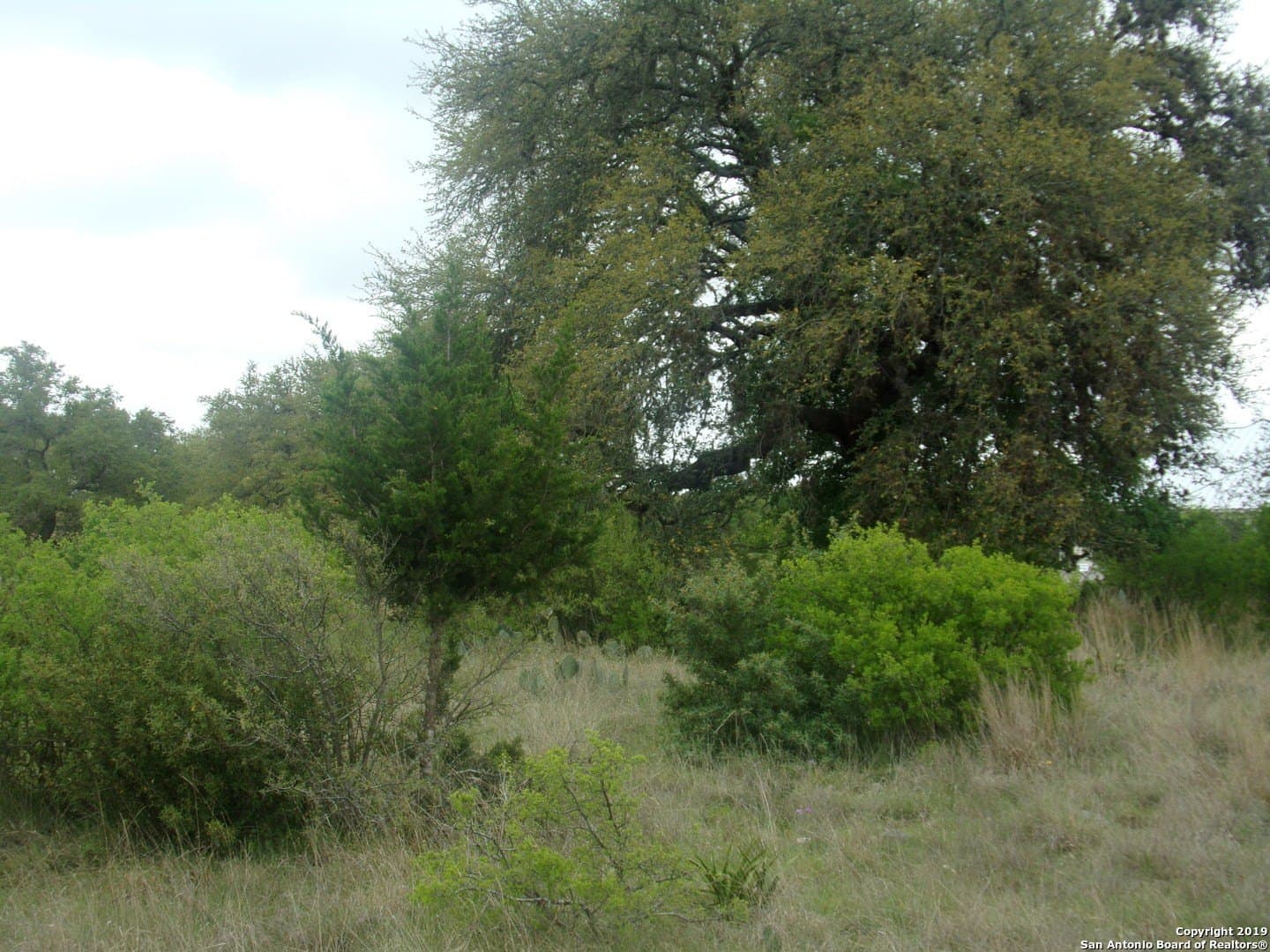 1.18 acres in Comal County - photo 8