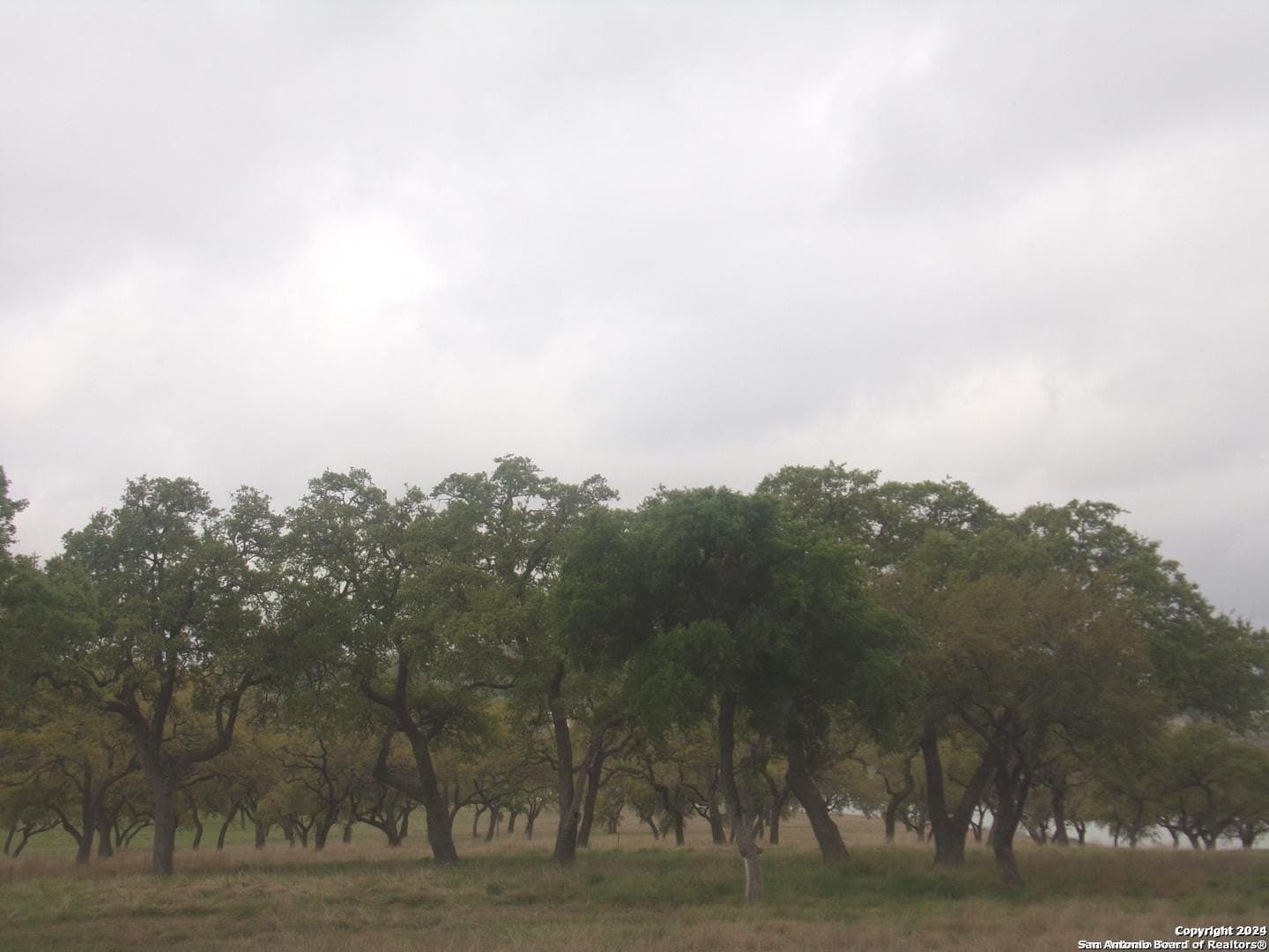 1.18 acres in Comal County gallery image 3