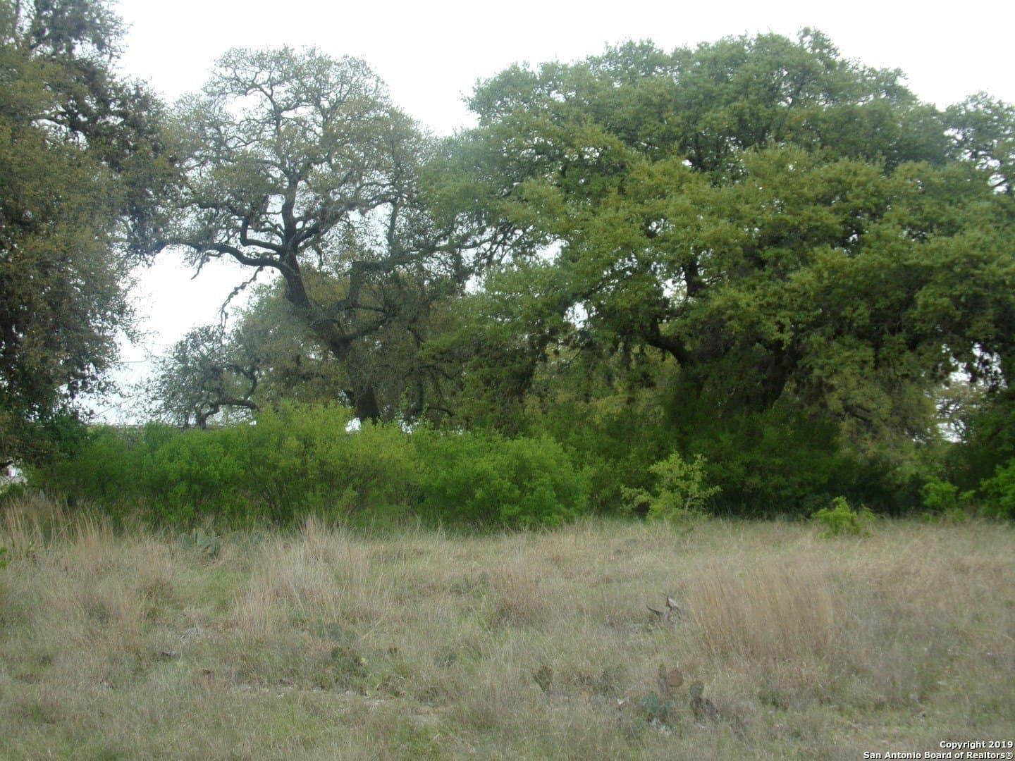 1.18 acres in Comal County - photo 9