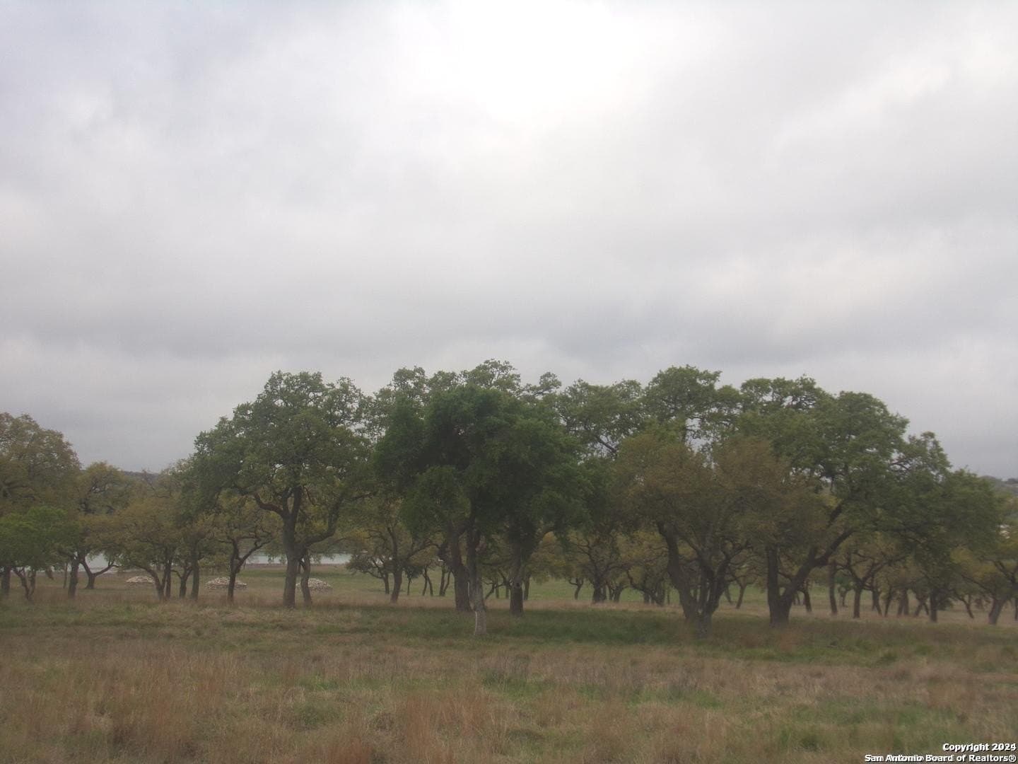1.18 acres in Comal County gallery image 2