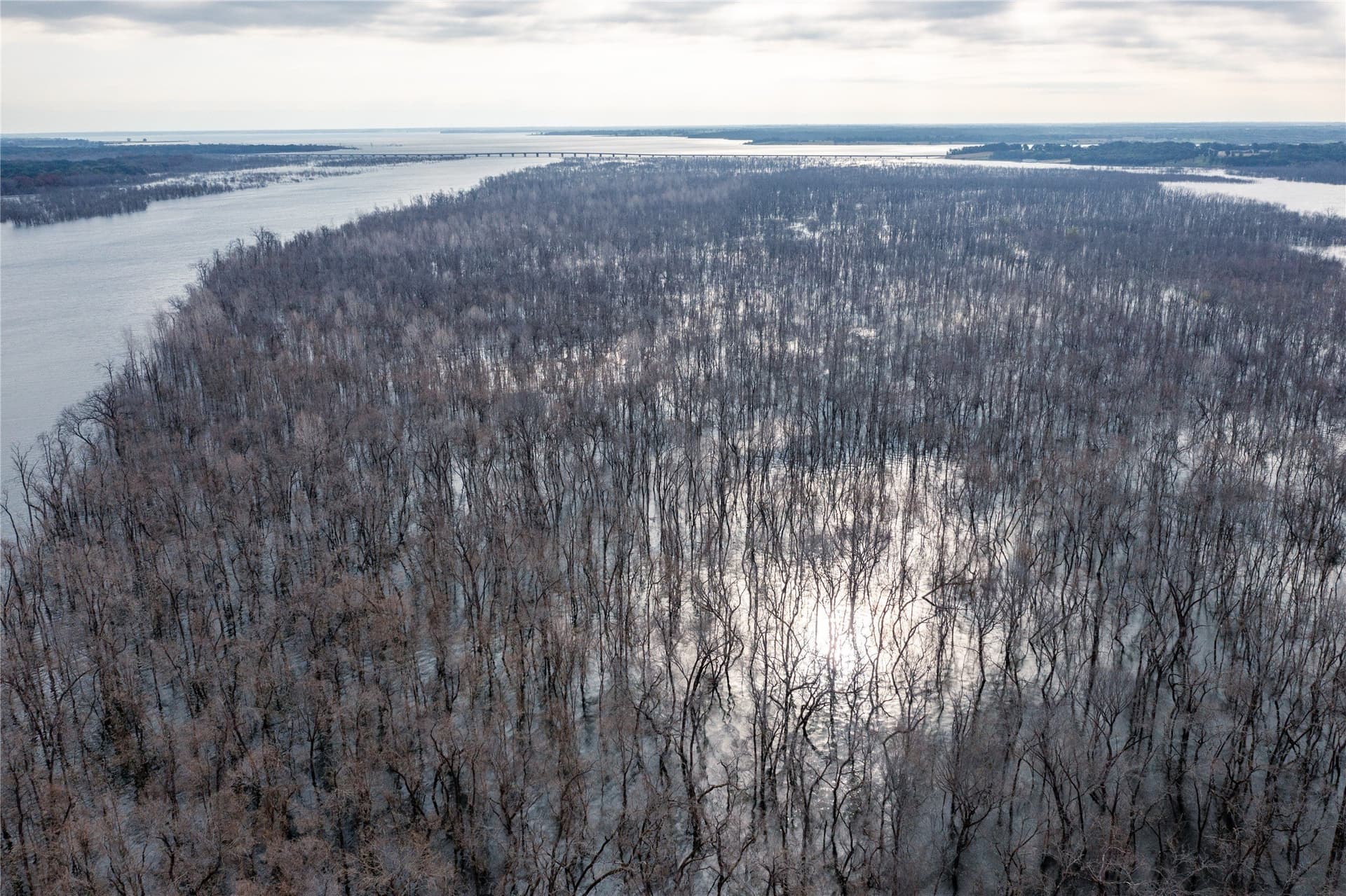 1.02 acres in Fannin County - photo 13