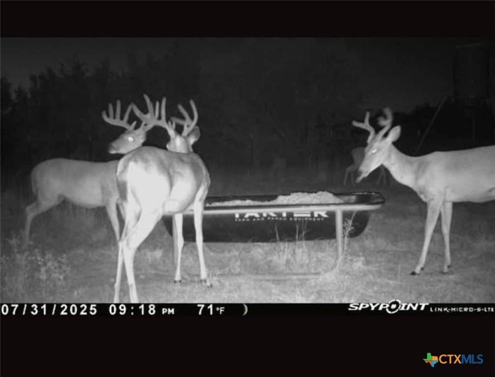 20 acres in Lampasas County gallery image 3