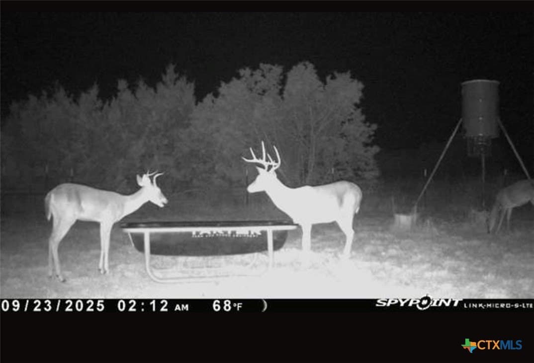 20 acres in Lampasas County gallery image 2