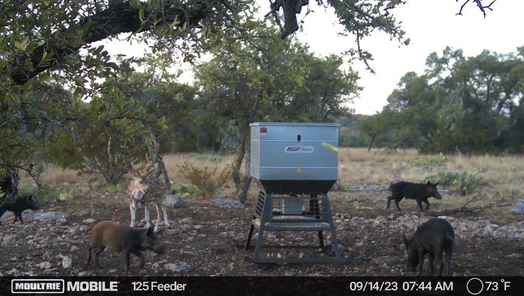 60 acres in Edwards County - photo 26
