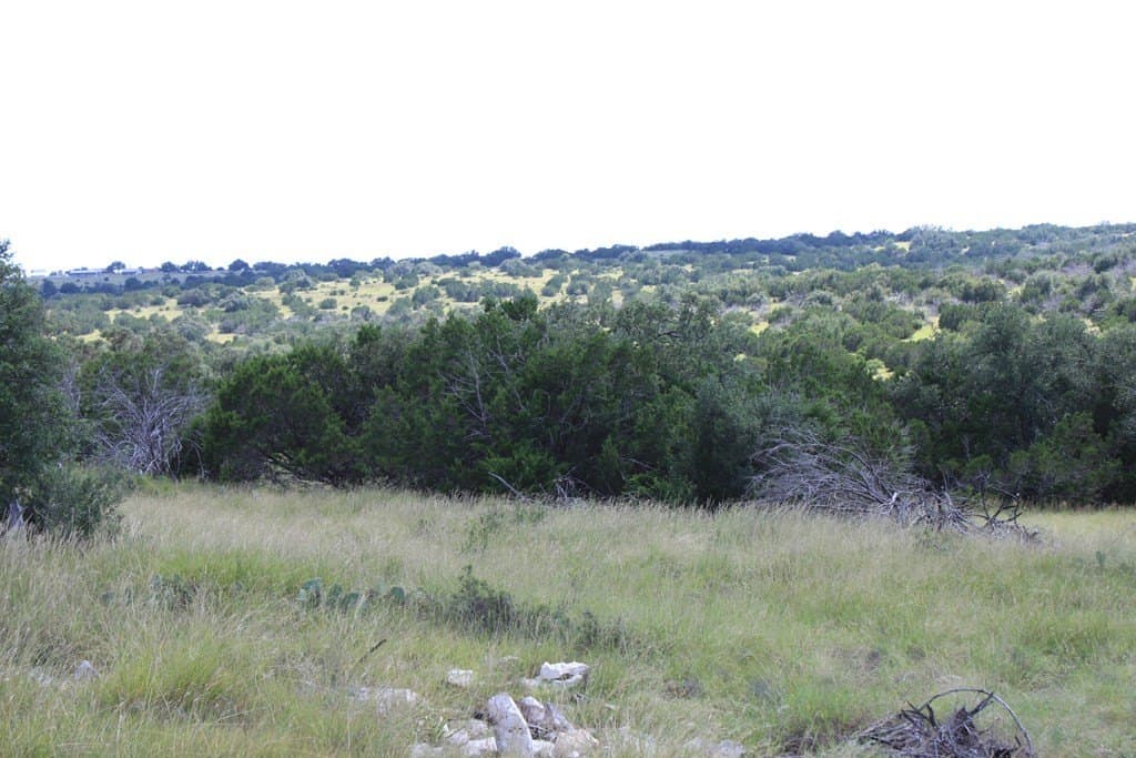 60 acres in Edwards County - photo 4