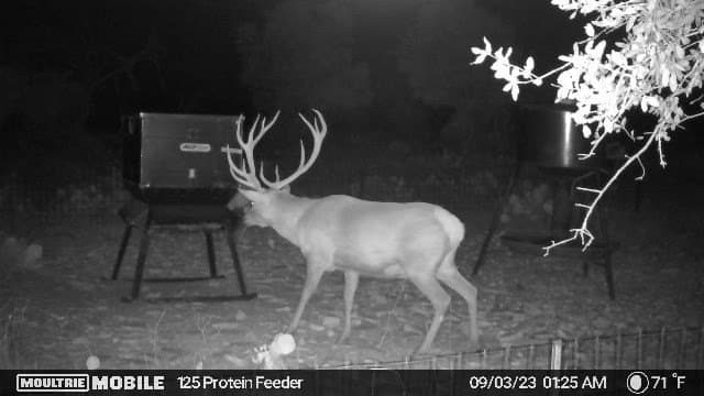60 acres in Edwards County - photo 22