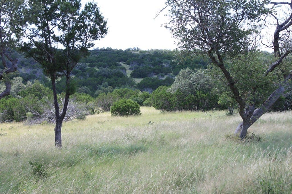 60 acres in Edwards County - photo 13
