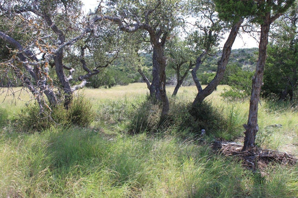 60 acres in Edwards County - photo 20