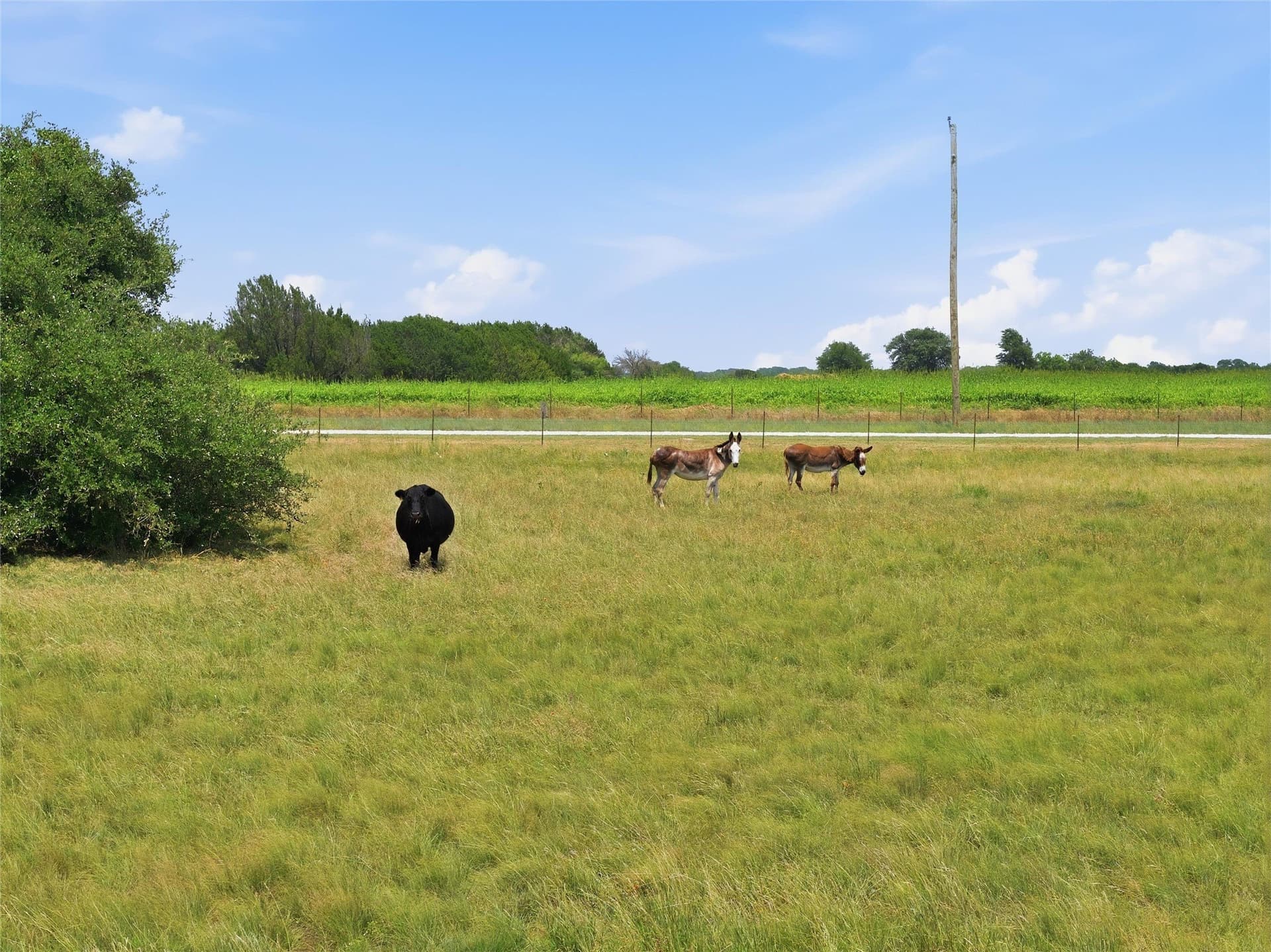 323 acres in Hamilton County - photo 19