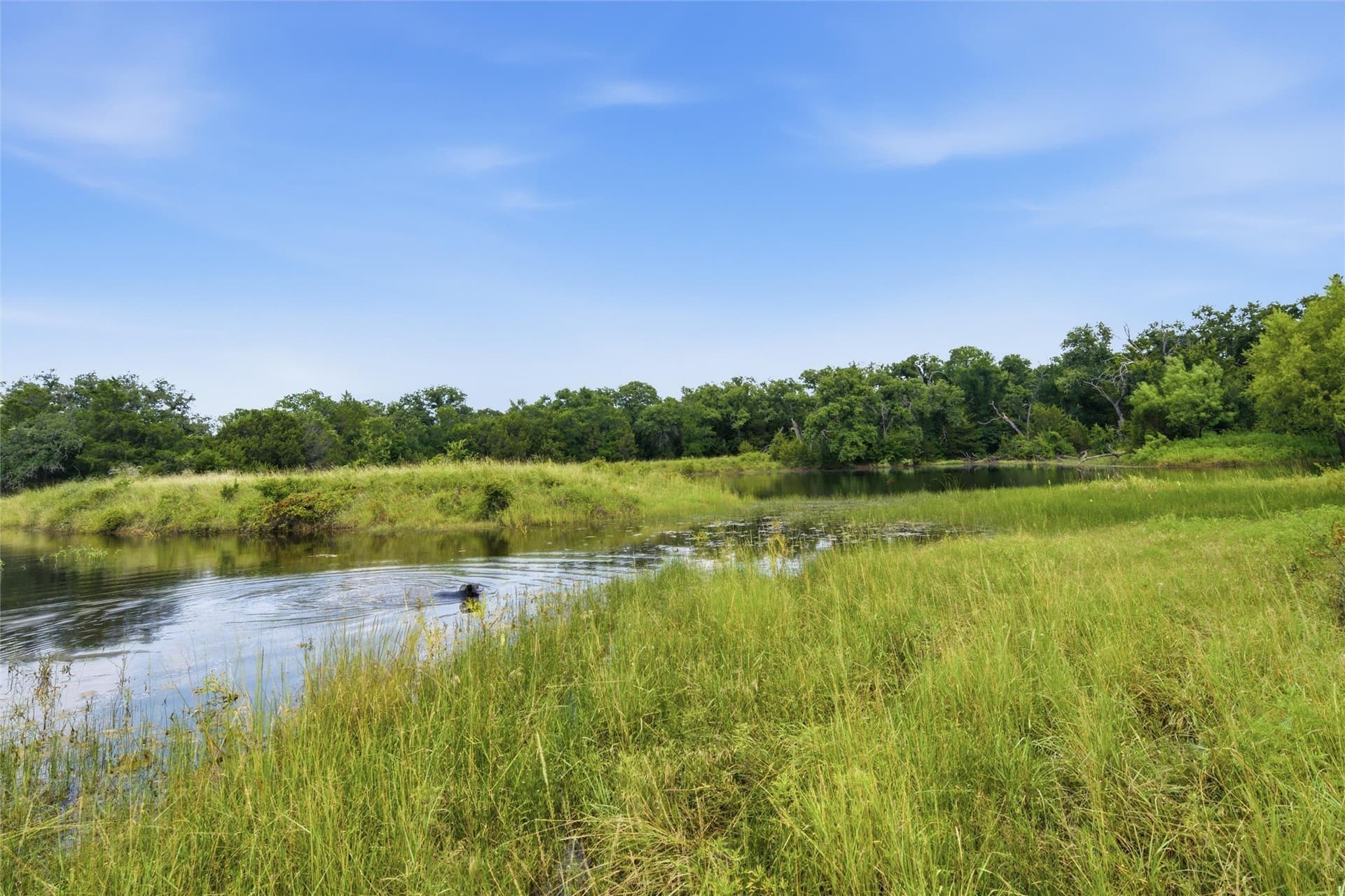323 acres in Hamilton County - photo 16