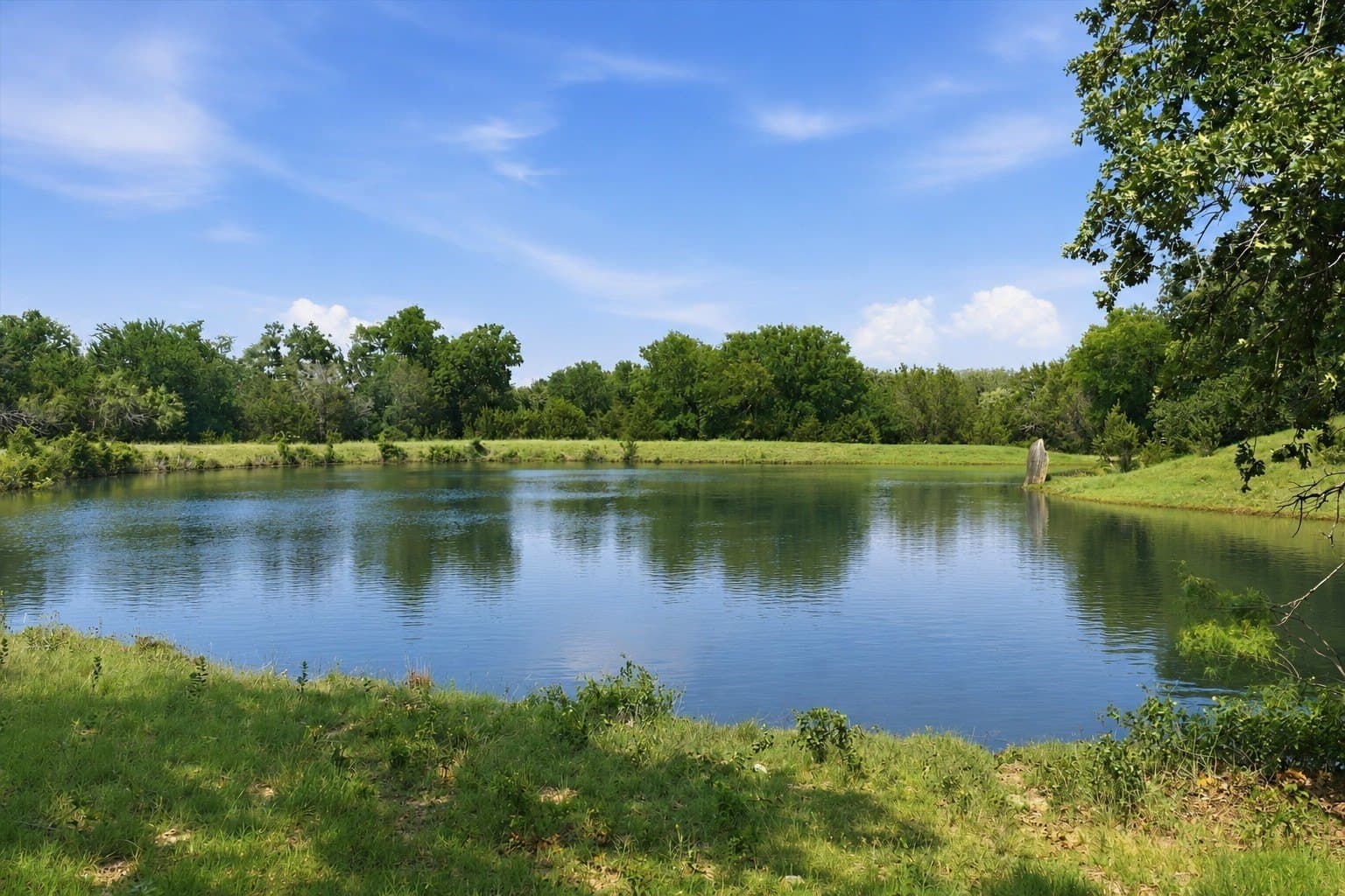 323 acres in Hamilton County - photo 9