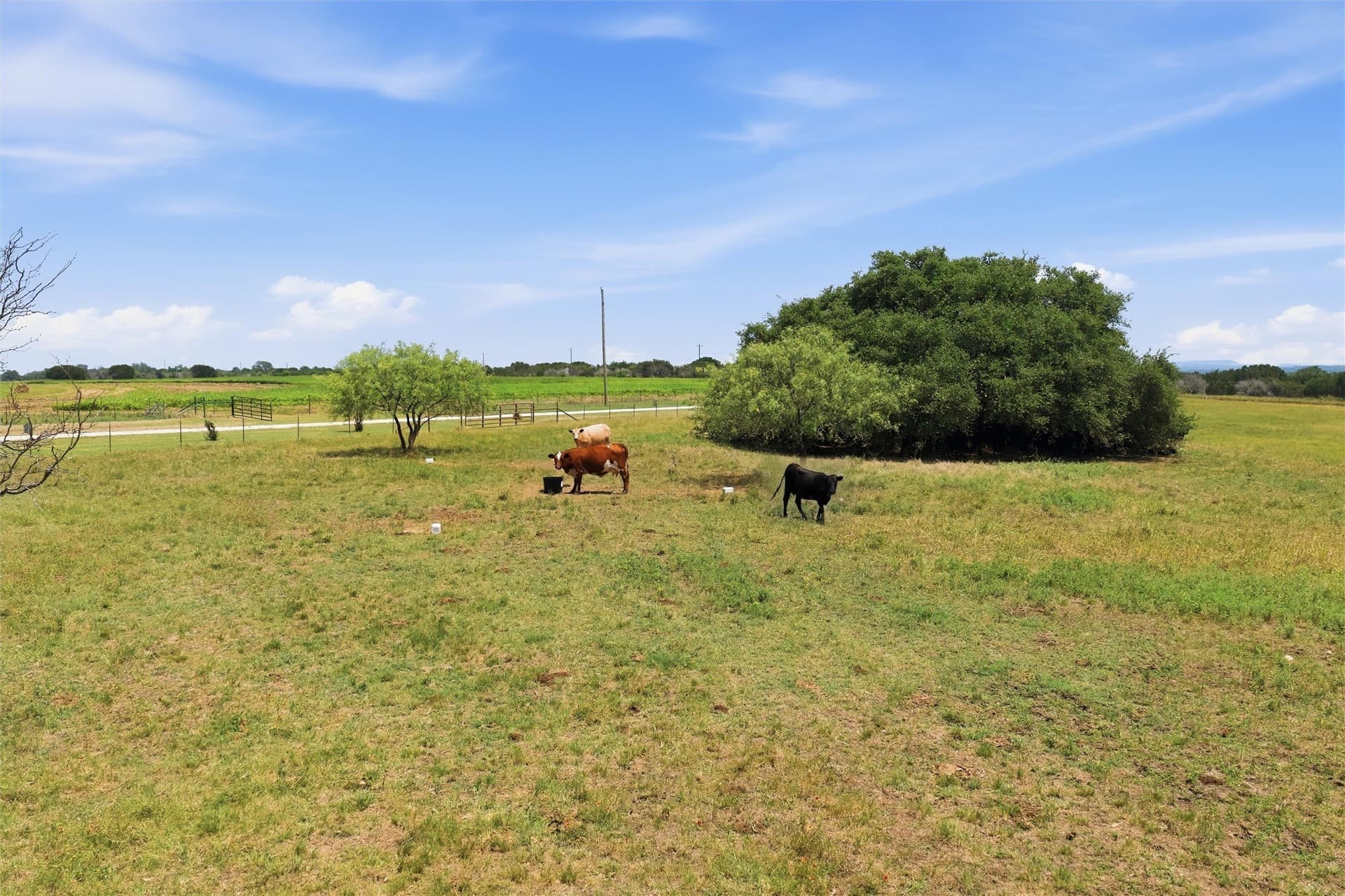 323 acres in Hamilton County - photo 7