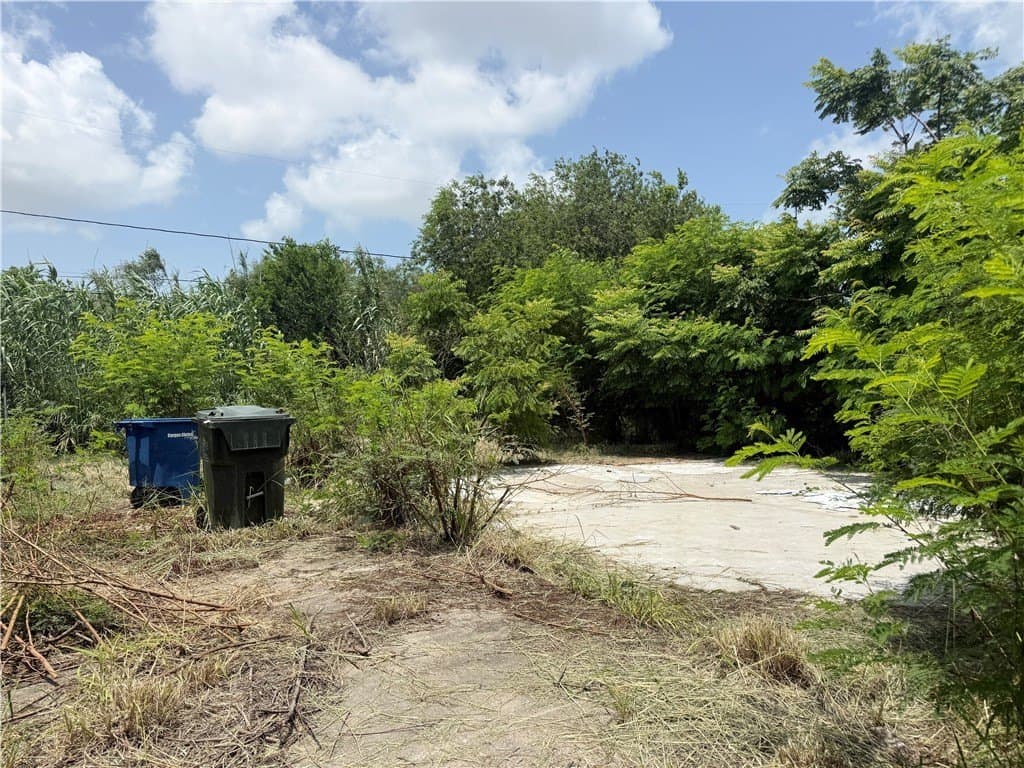 0.09 acres in Nueces County gallery image 2