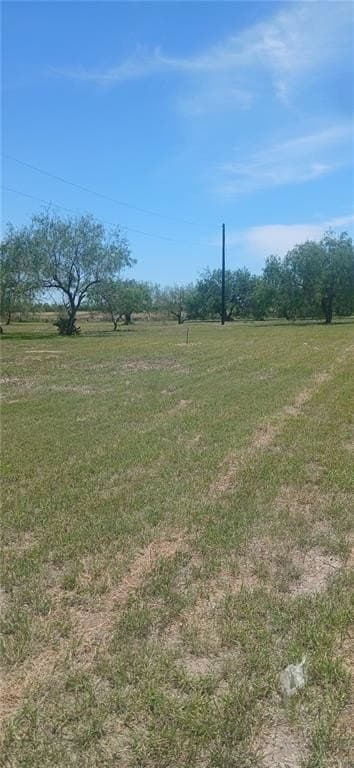 3.49 acres in Hidalgo County - photo 16