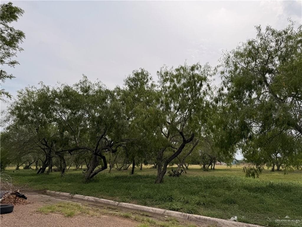 3.49 acres in Hidalgo County - photo 13