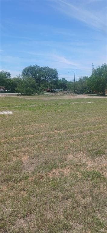 3.49 acres in Hidalgo County - photo 15