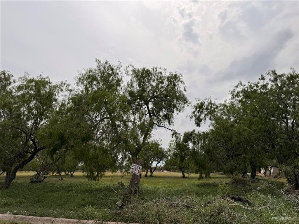 3.49 acres in Hidalgo County - photo 11