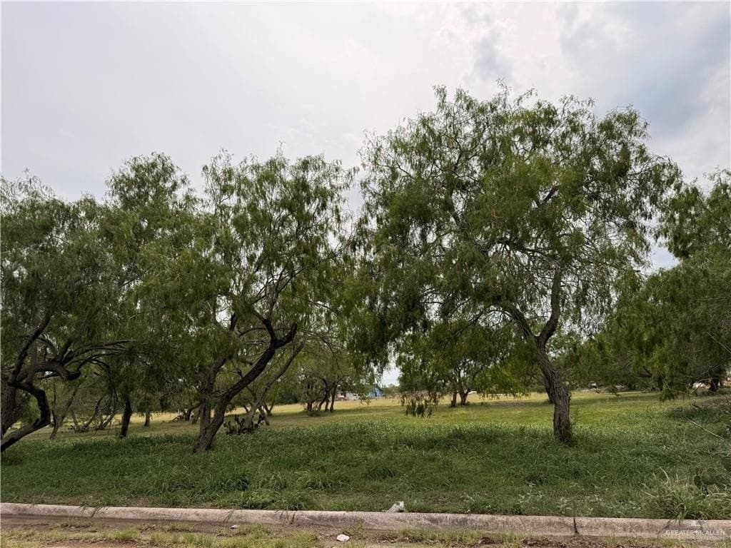 3.49 acres in Hidalgo County - photo 12