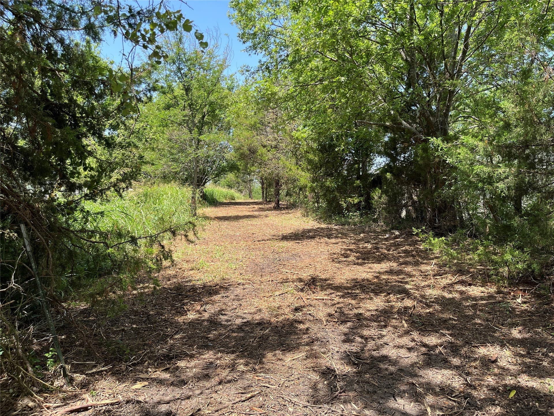 41.36 acres in Grayson County - photo 13