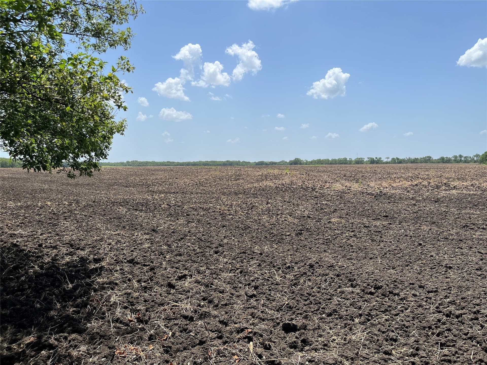 41.36 acres in Grayson County - photo 16