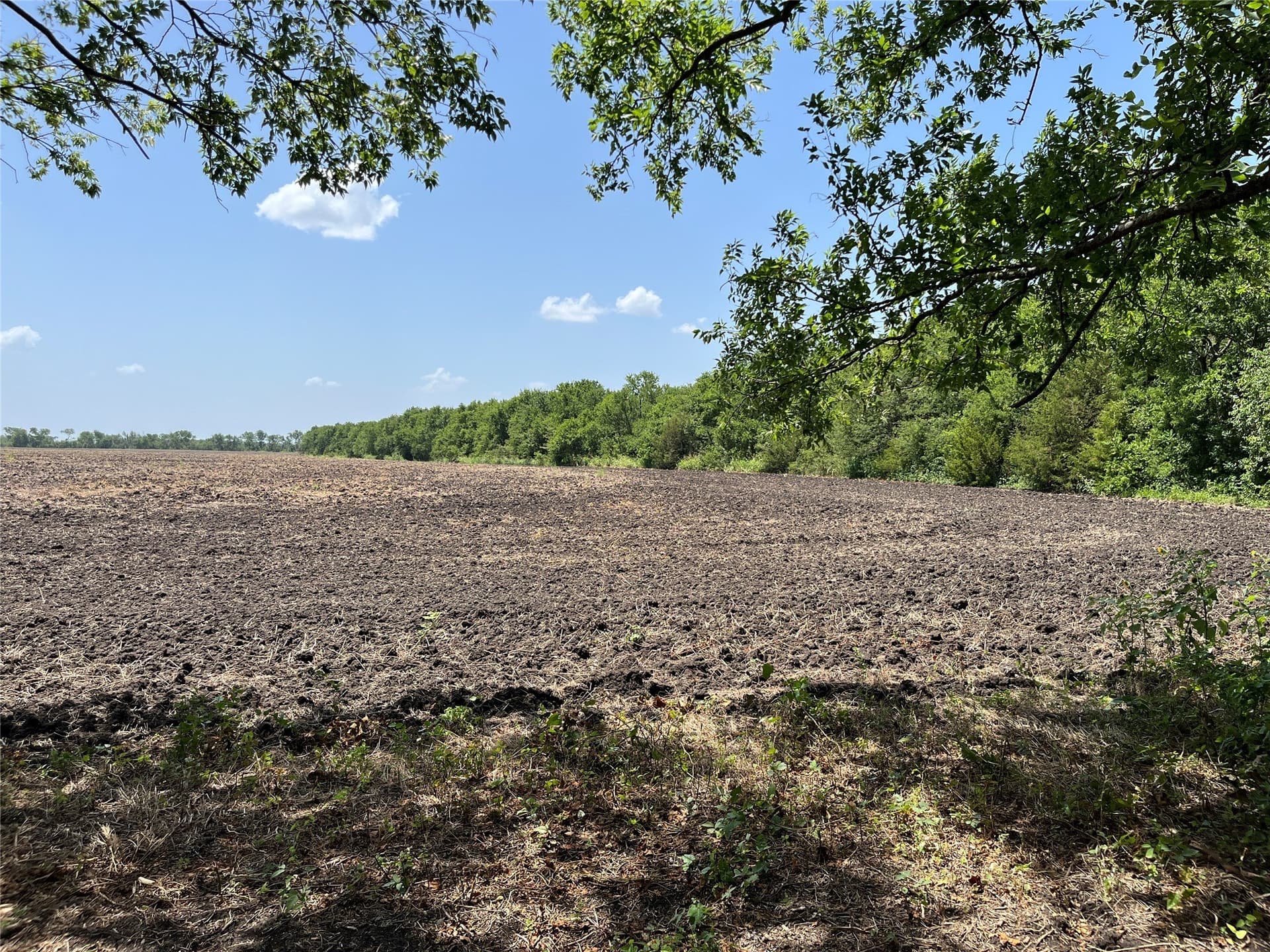 41.36 acres in Grayson County - photo 14