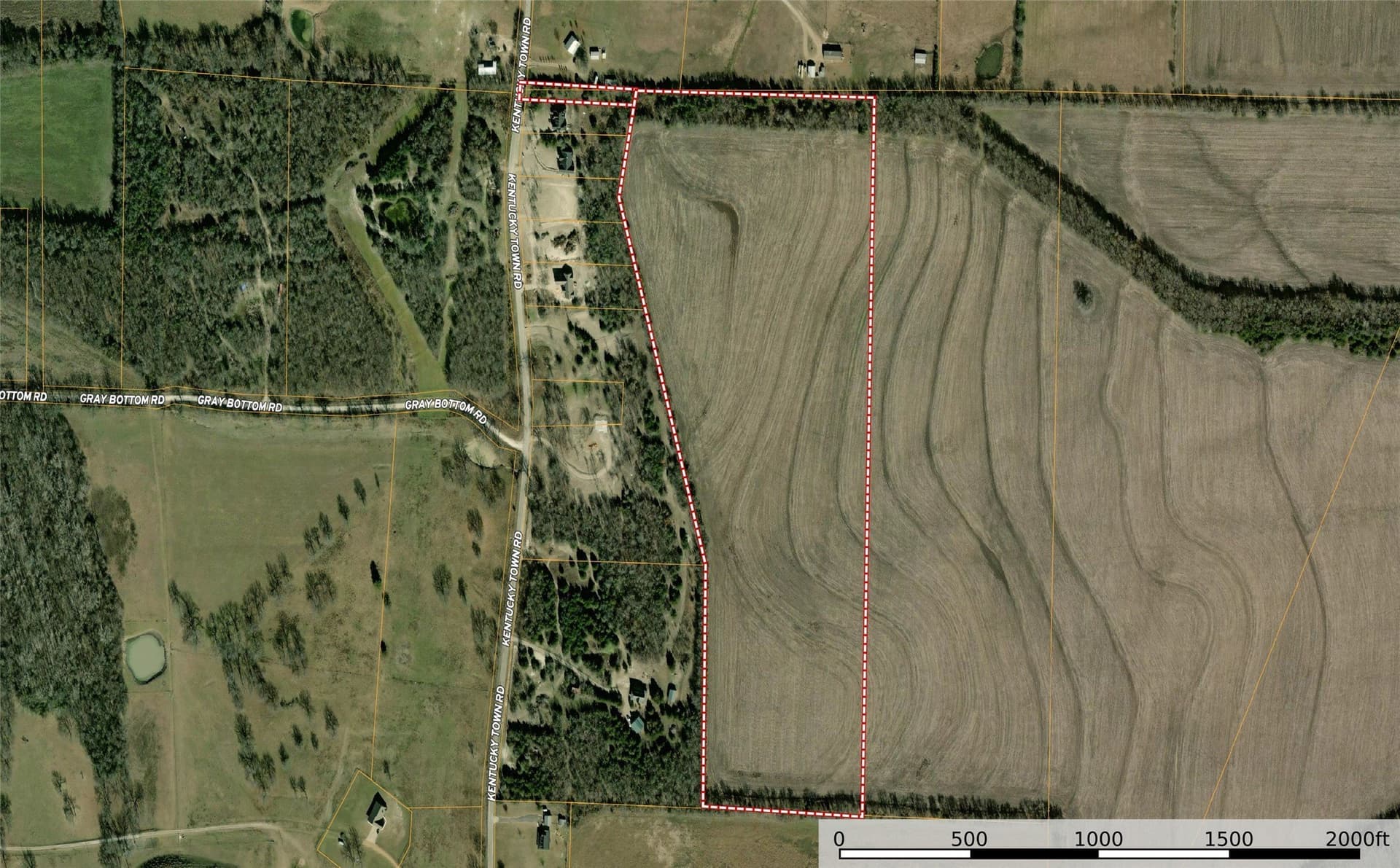 41.36 acres in Grayson County - photo 2