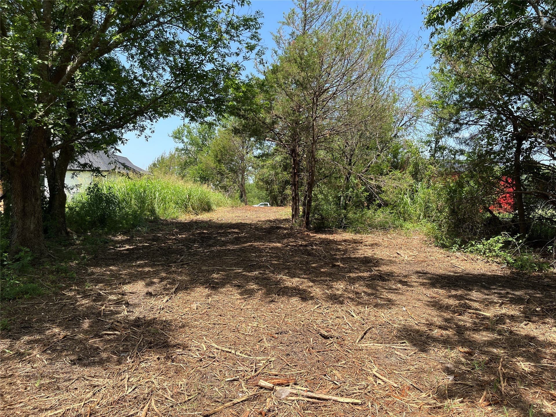 41.36 acres in Grayson County - photo 6