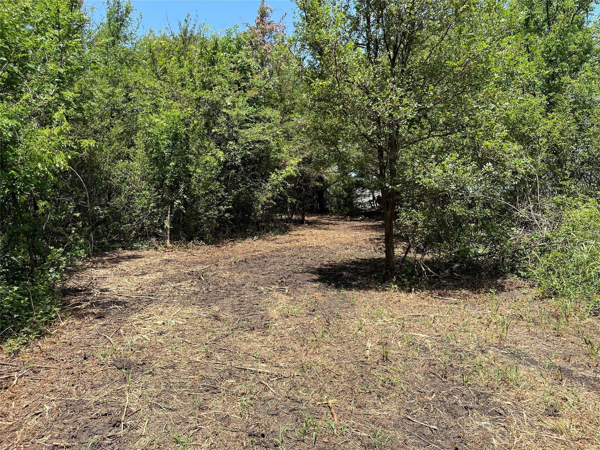 41.36 acres in Grayson County - photo 11
