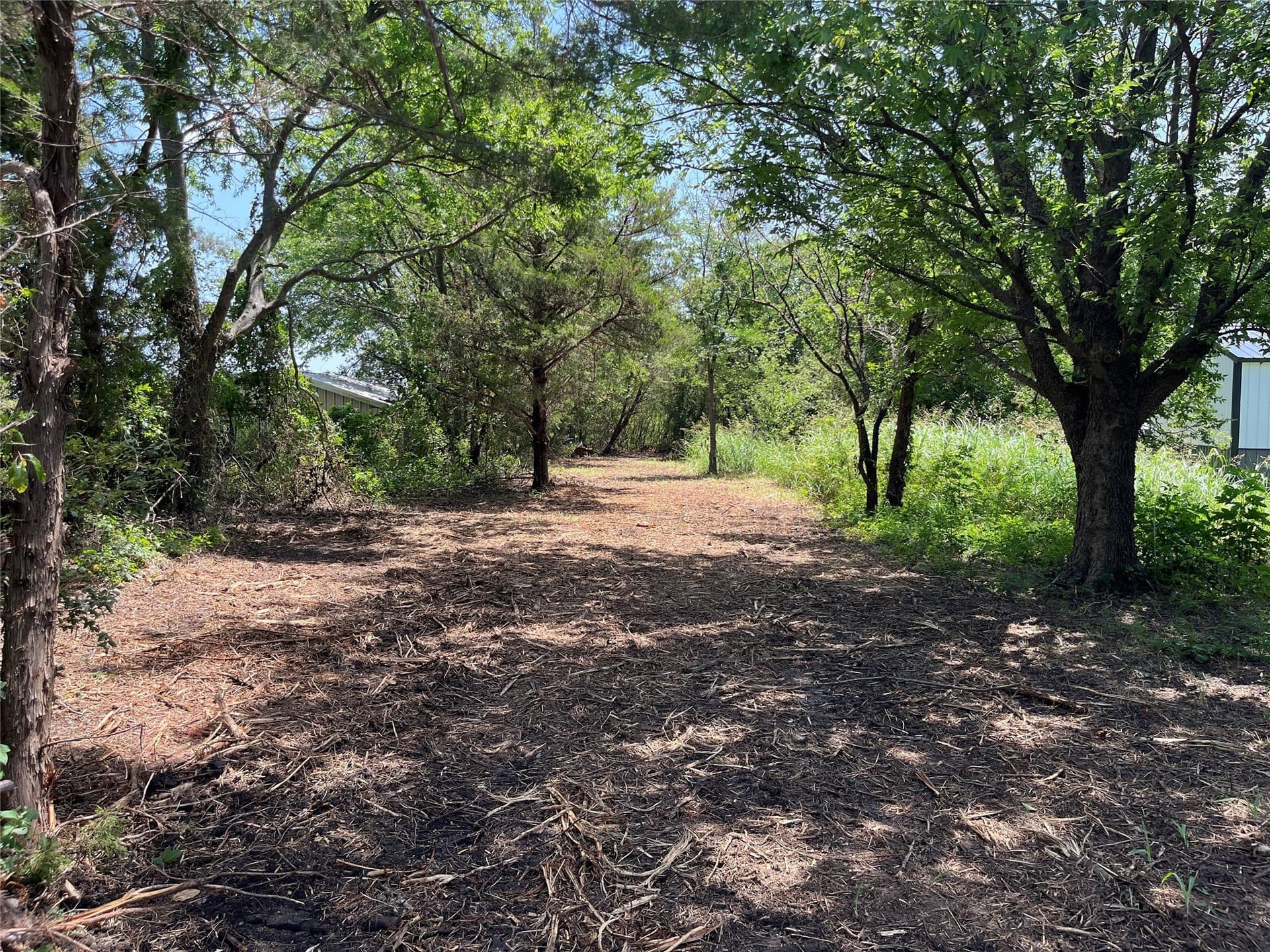 41.36 acres in Grayson County - photo 10