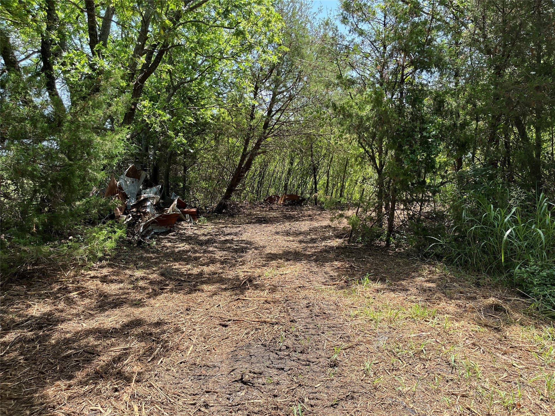 41.36 acres in Grayson County - photo 12
